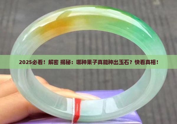 什么果子才能做出来玉石