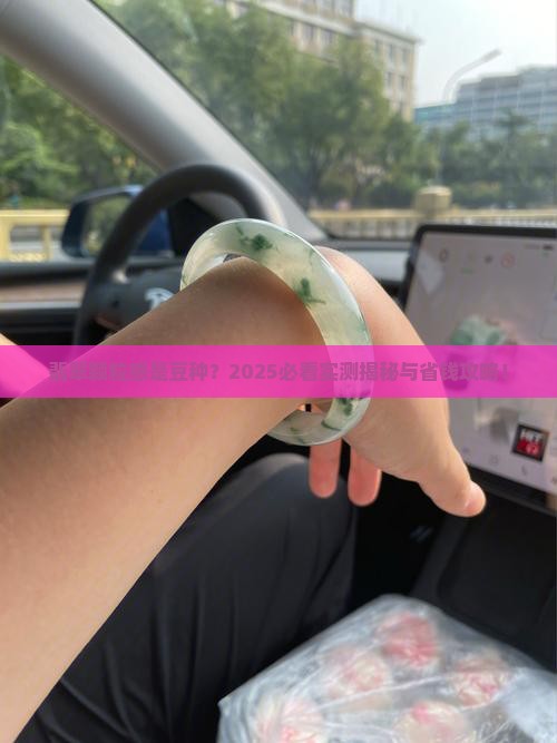 翡翠有颗粒感就是豆种吗