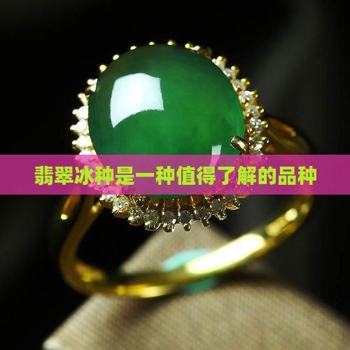 怎么看翡翠糯冰种