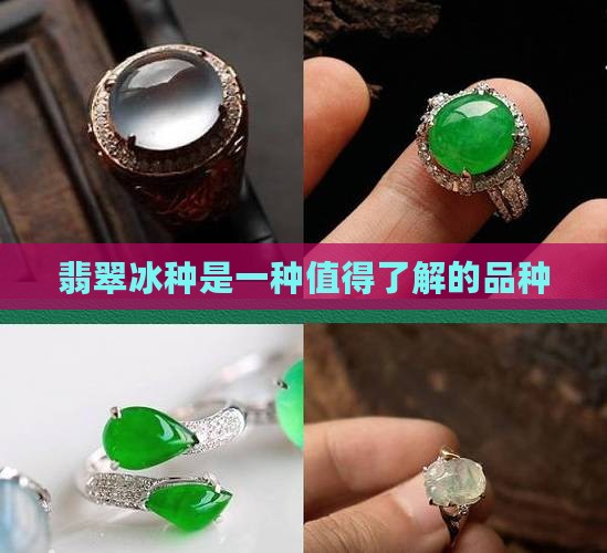 怎么看翡翠糯冰种