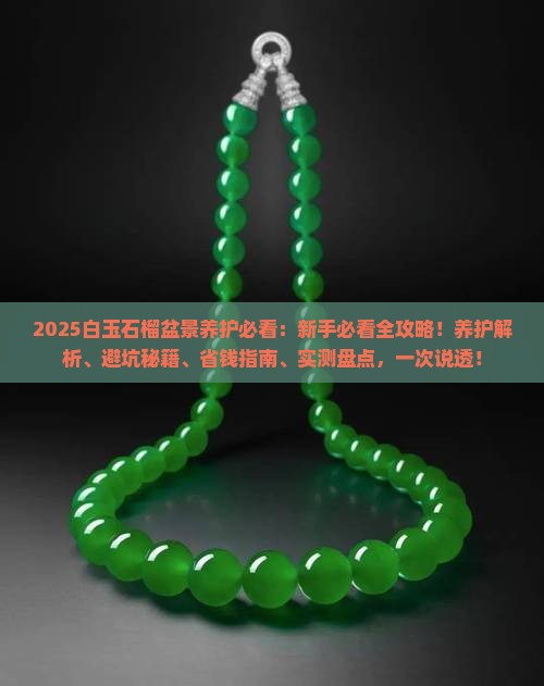 白玉石榴盆景怎么养 白玉石榴盆景怎么养