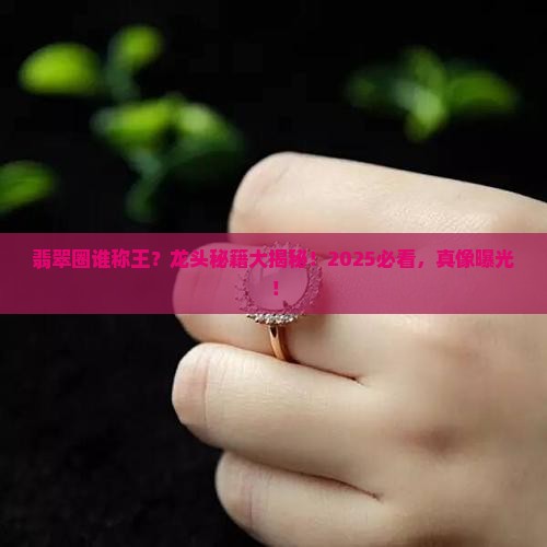 翡翠龙头说法