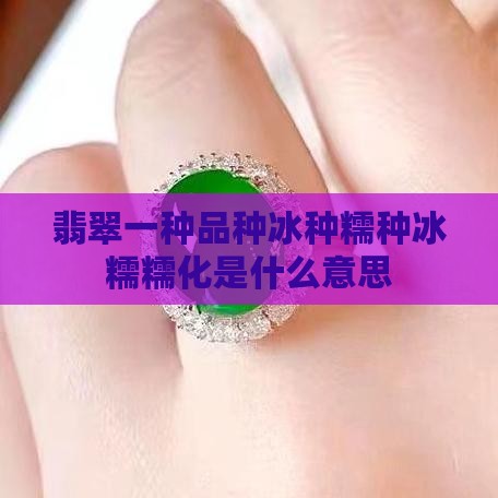翡翠种类冰糯种什么意思