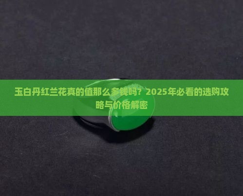 玉白丹红兰花价格多少