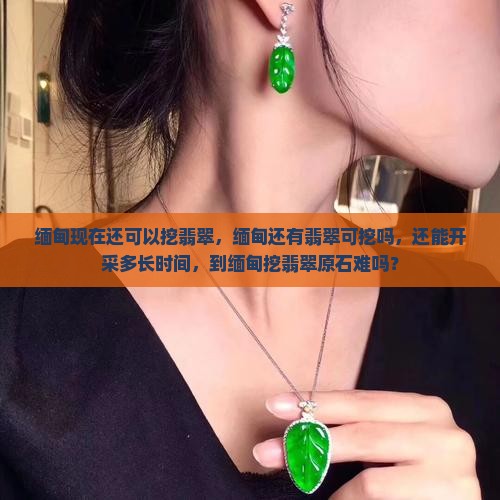 缅甸现在还可以挖翡翠