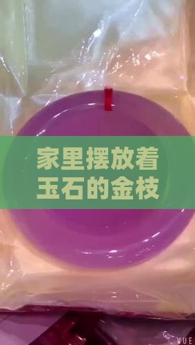 家里摆放着玉石的金枝玉叶树好吗