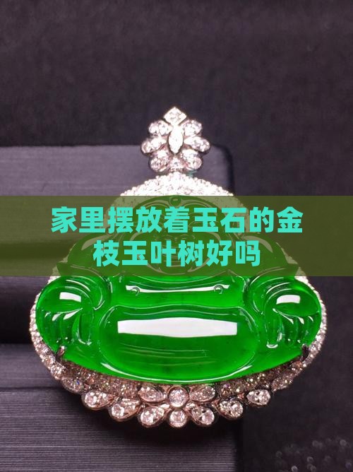 家里摆放着玉石的金枝玉叶树好吗