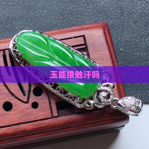 玉能接触汗吗