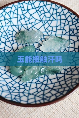 玉能接触汗吗