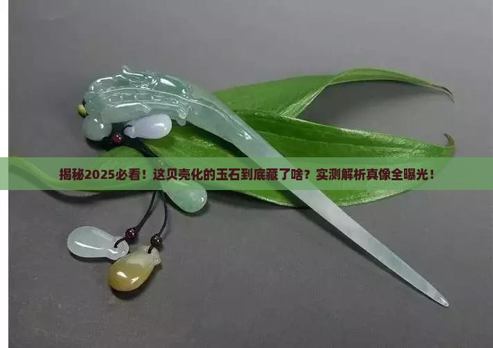 贝壳化的玉石 贝壳化的玉石