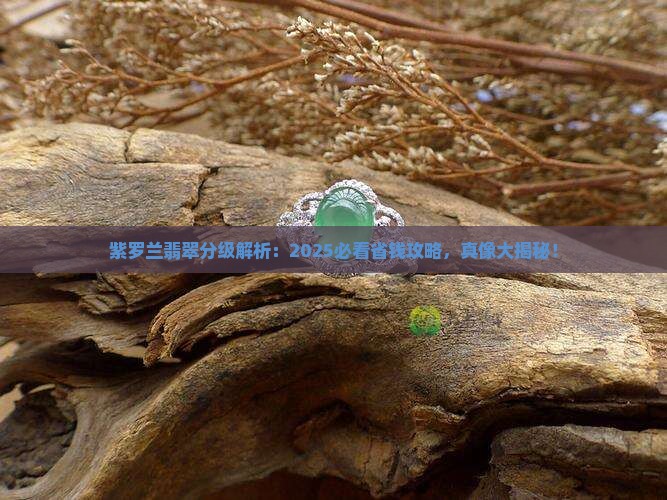 紫罗兰翡翠分级