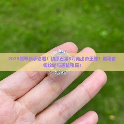 翡翠小原石切出极品帝王绿