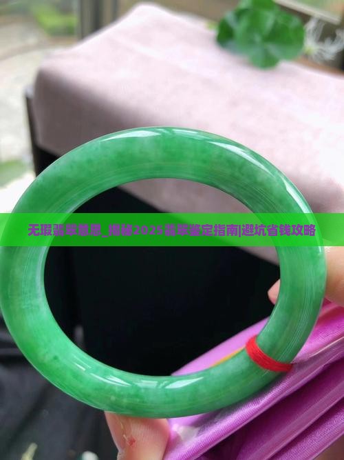 无瑕翡翠意思