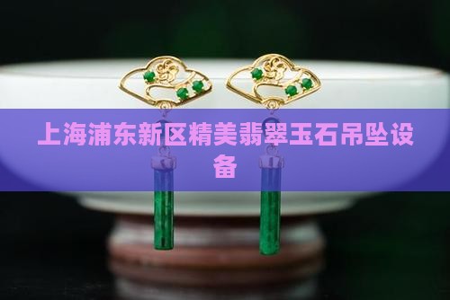 浦东新区精美翡翠吊坠设备