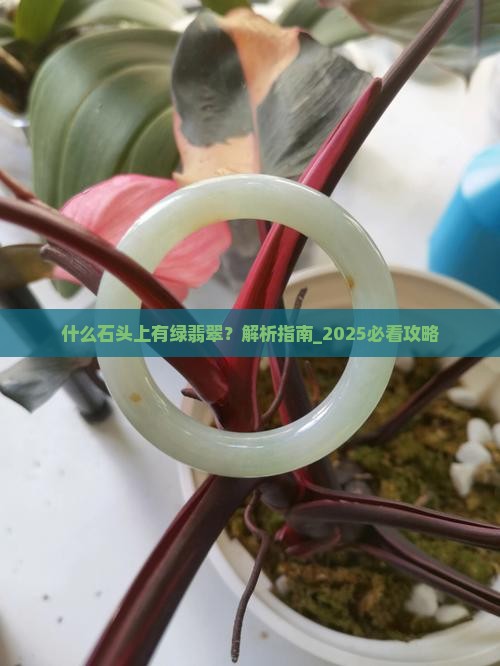 什么石头上有绿翡翠