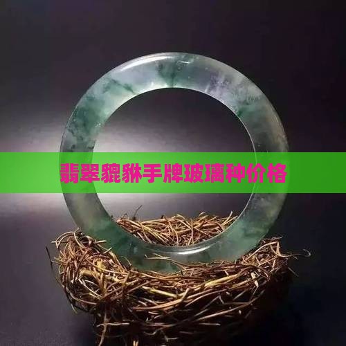 翡翠貔貅手牌玻璃种