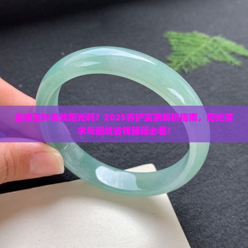 金枝玉叶喜欢阳光吗