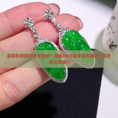 翡翠怎样保护才没变种