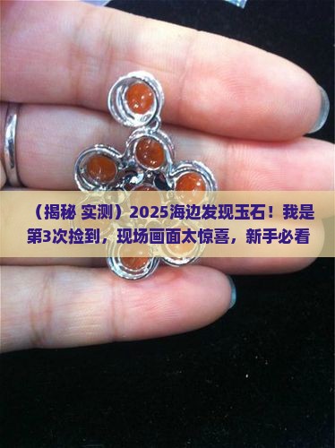 海边发现玉石