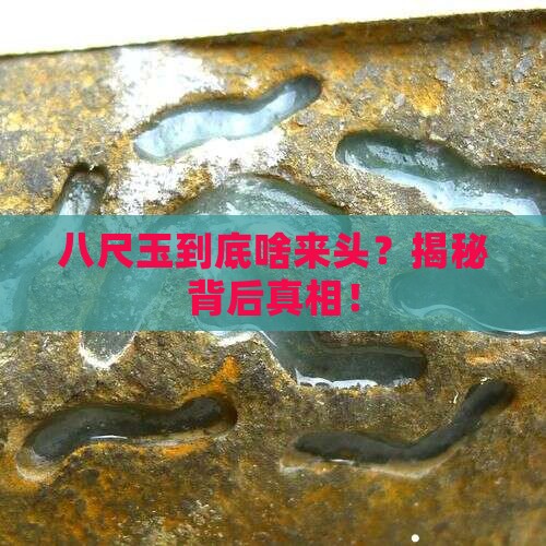 八尺玉哪国