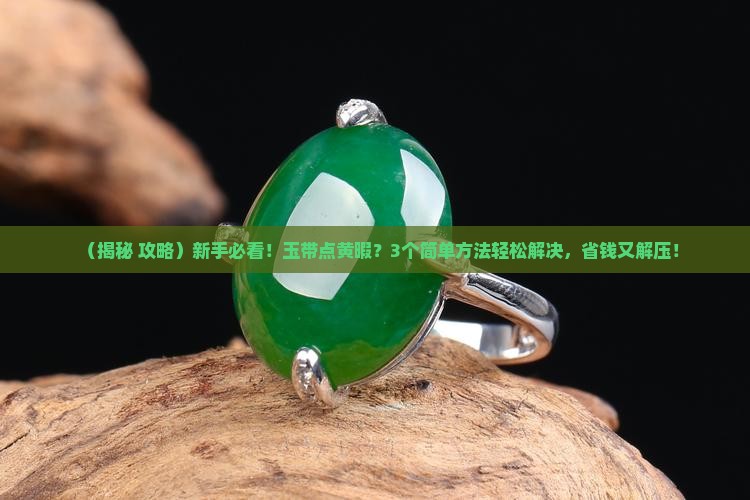 玉带点黄暇