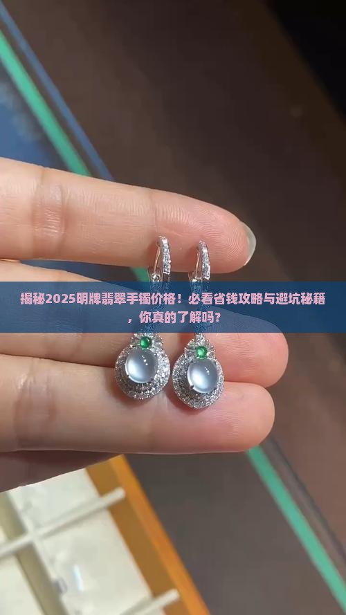 明牌翡翠手镯多少钱