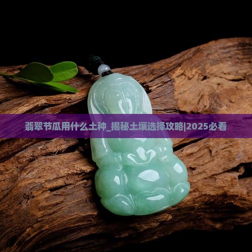 翡翠节瓜用什么土种