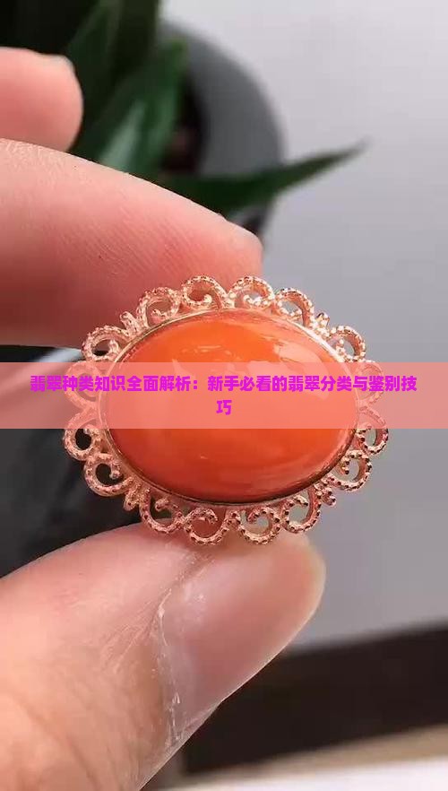 翡翠种类知识 翡翠种类知识