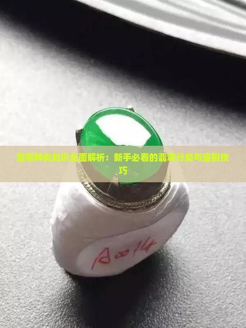 翡翠种类知识 翡翠种类知识