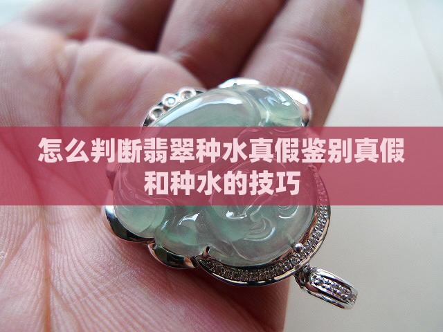 怎么判断翡翠种水真假