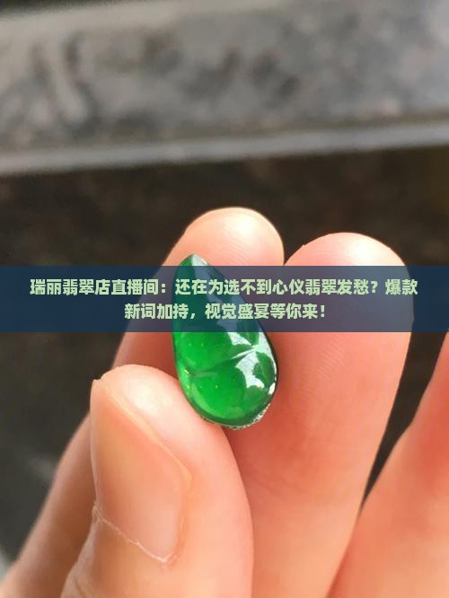 瑞丽翡翠店直播间