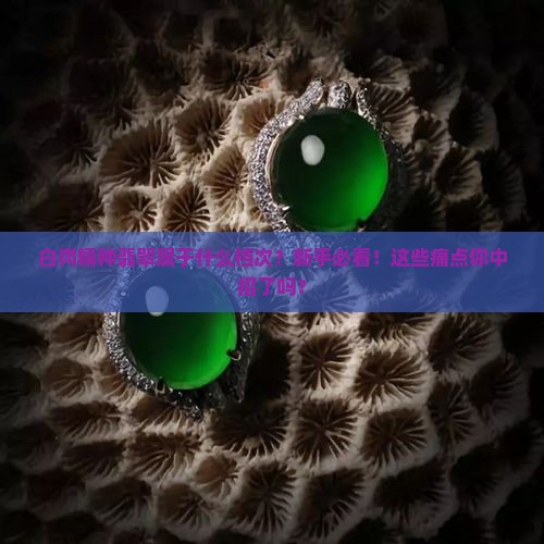 白肉糯种翡翠属于什么档次