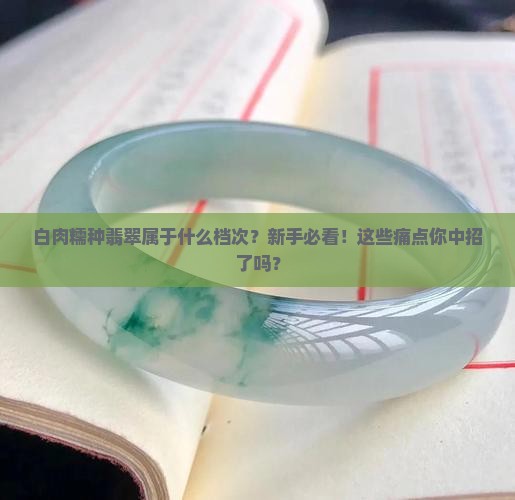 白肉糯种翡翠属于什么档次