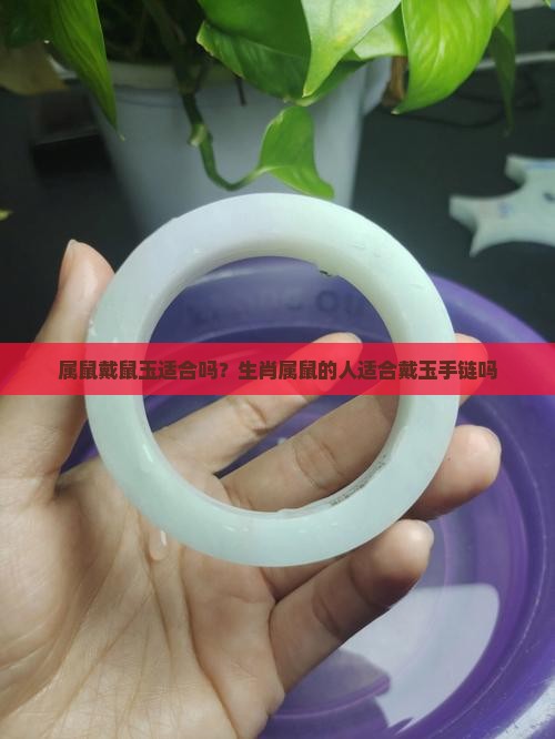 属鼠戴鼠玉适合吗？生肖属鼠的人适合戴玉手链吗