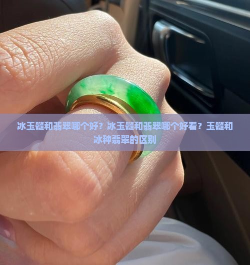冰玉髓和翡翠哪个好?冰玉髓和翡翠哪个好看?玉髓和冰种翡翠的区别 冰玉髓和翡翠哪个好?冰玉髓和翡翠哪个好看?玉髓和冰种翡翠的区别