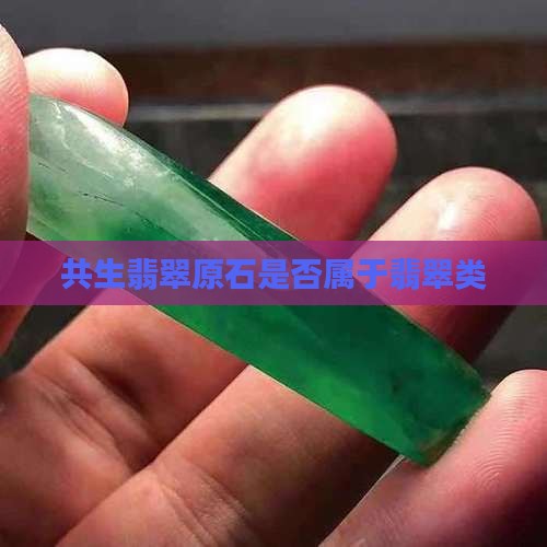 共生翡翠原石是否属于翡翠类