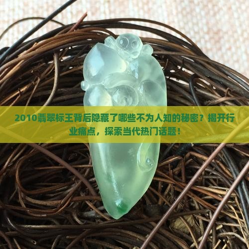 2010翡翠标王背后隐藏了哪些不为人知的秘密？揭开行业痛点，探索当代热门话题！