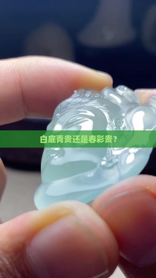 白底青贵还是春彩贵？