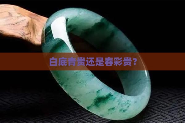 白底青贵还是春彩贵？