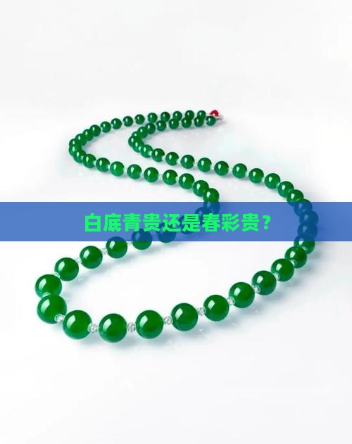 白底青贵还是春彩贵？