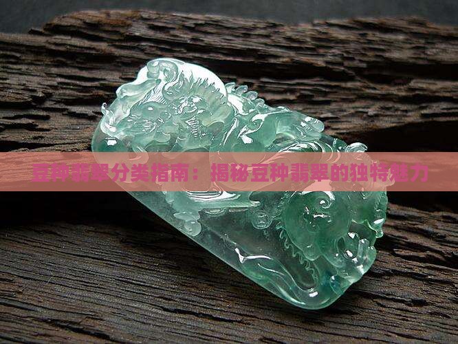 豆种翡翠分类指南：揭秘豆种翡翠的独特魅力