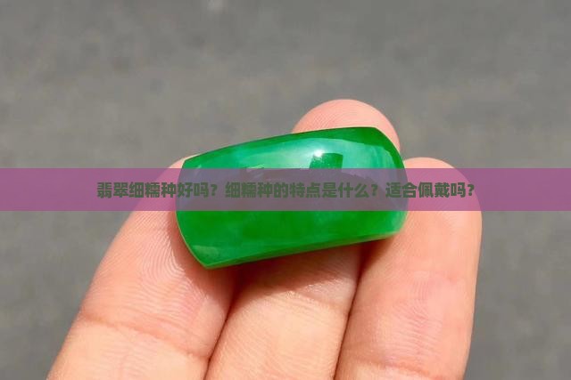 翡翠细糯种好吗？细糯种的特点是什么？适合佩戴吗？