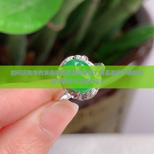 如何识别带有黄翡特征的翡翠手镯？黄翡翡翠手镯的价值与保养方法是什么？