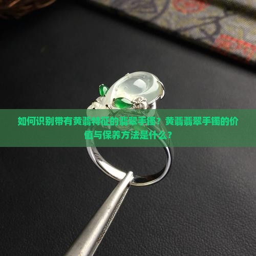 如何识别带有黄翡特征的翡翠手镯？黄翡翡翠手镯的价值与保养方法是什么？