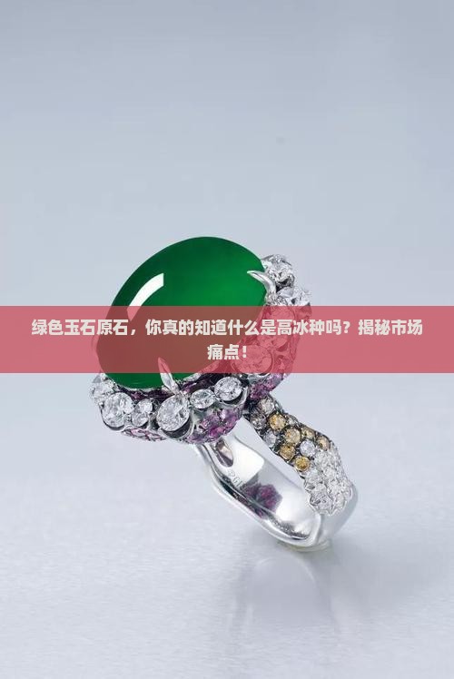 绿色玉石原石，你真的知道什么是高冰种吗？揭秘市场痛点！
