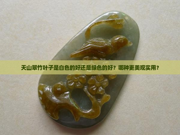 天山翠竹叶子是白色的好还是绿色的好？哪种更美观实用？