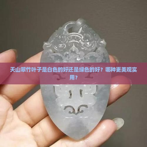 天山翠竹叶子是白色的好还是绿色的好？哪种更美观实用？