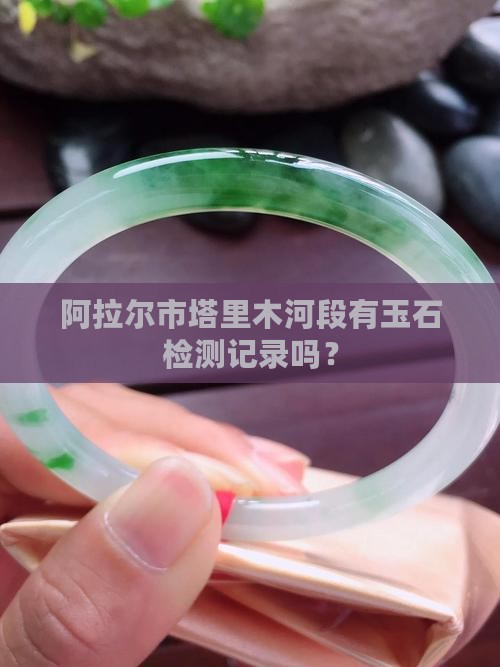 阿拉尔市塔里木河段有玉石检测记录吗？