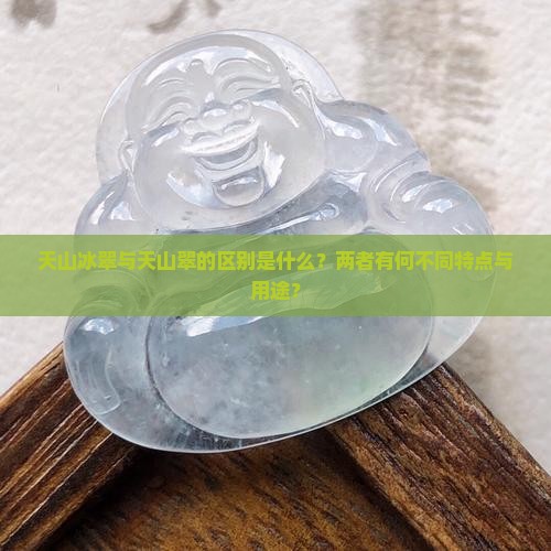 天山冰翠与天山翠的区别是什么？两者有何不同特点与用途？