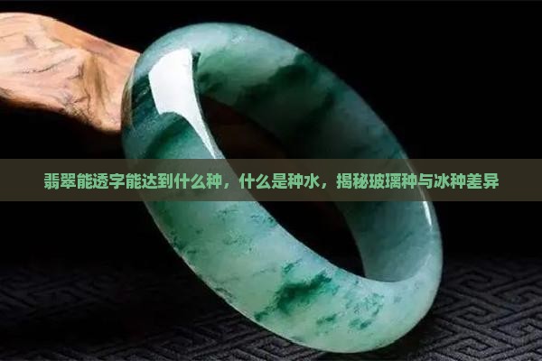 翡翠能透字能达到什么种，什么是种水，揭秘玻璃种与冰种差异